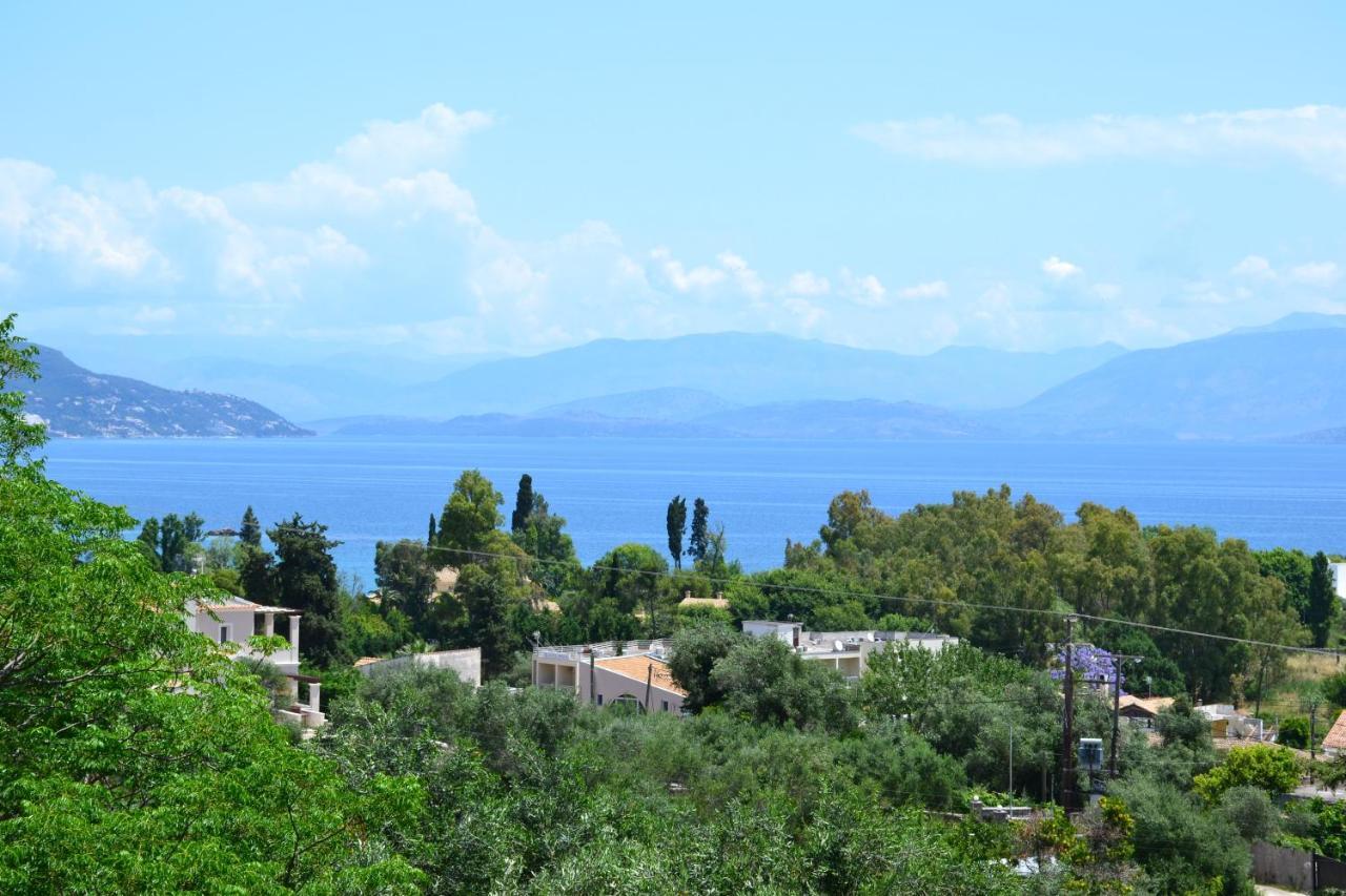 Dassiaholidayclub Bagian luar foto